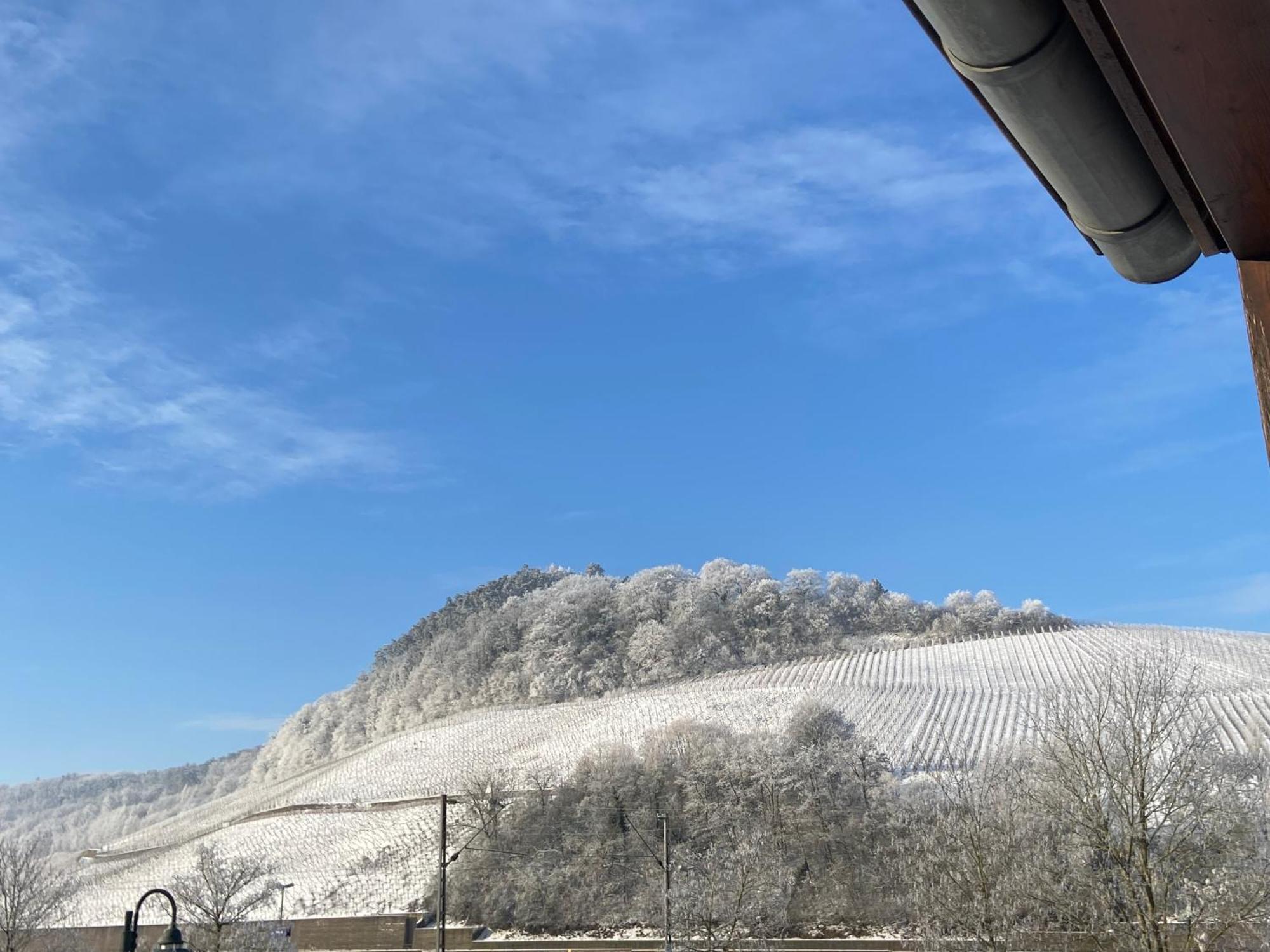 Gaestehaus Und Weingut Bernd Frieden Nittel Eksteriør billede