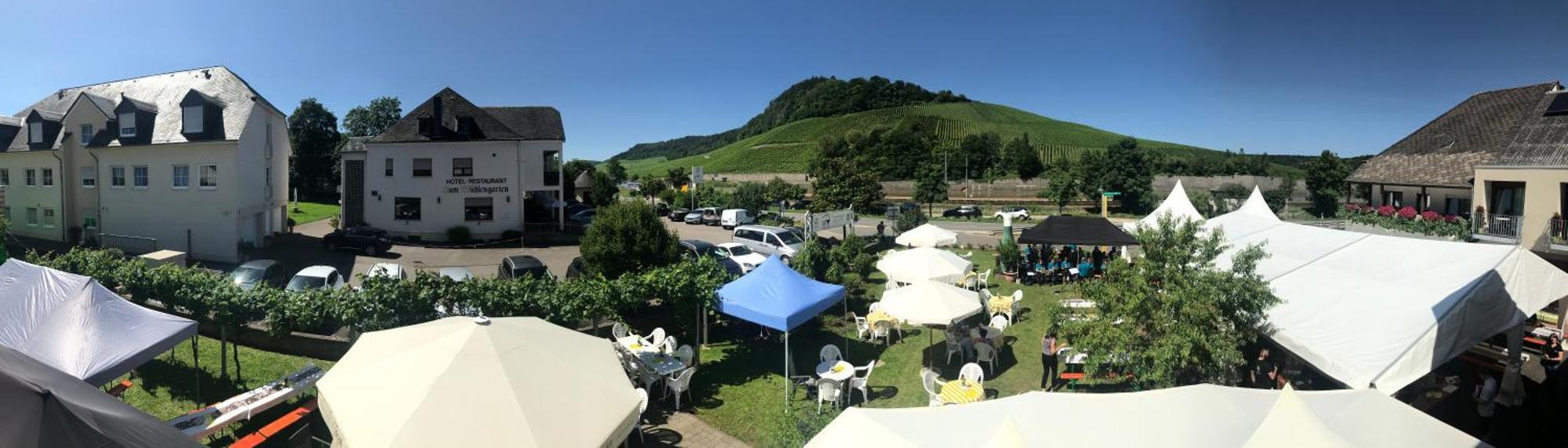 Gaestehaus Und Weingut Bernd Frieden Nittel Eksteriør billede