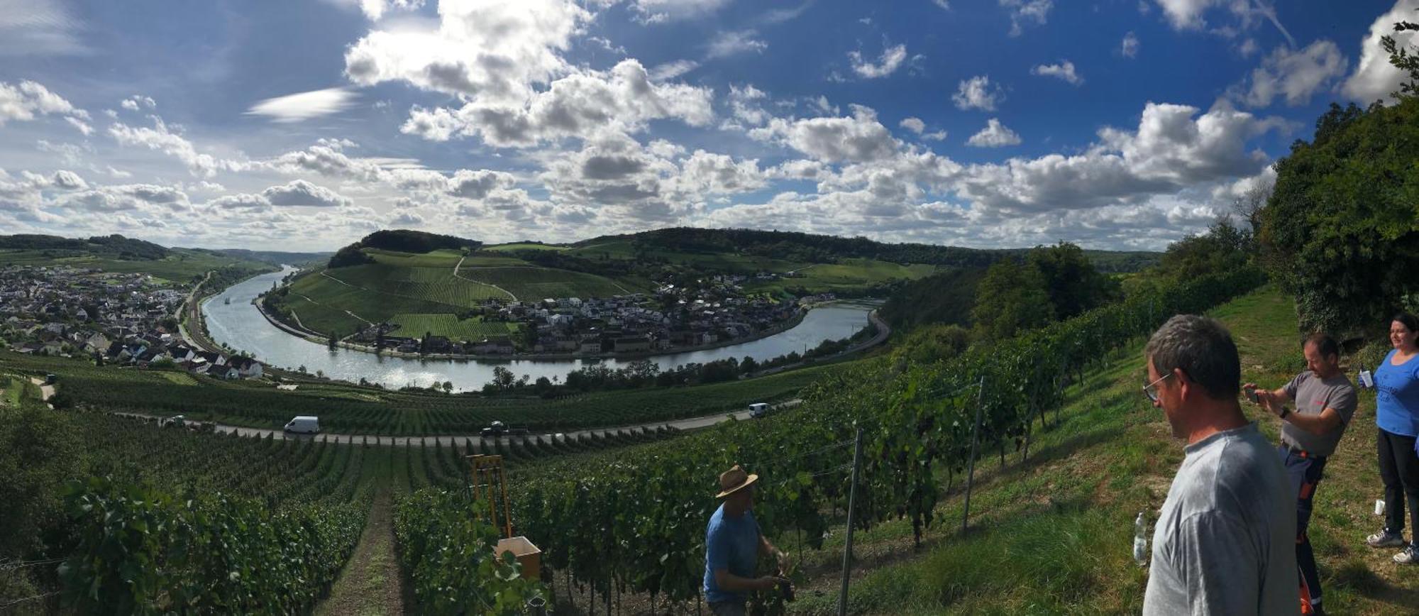 Gaestehaus Und Weingut Bernd Frieden Nittel Eksteriør billede