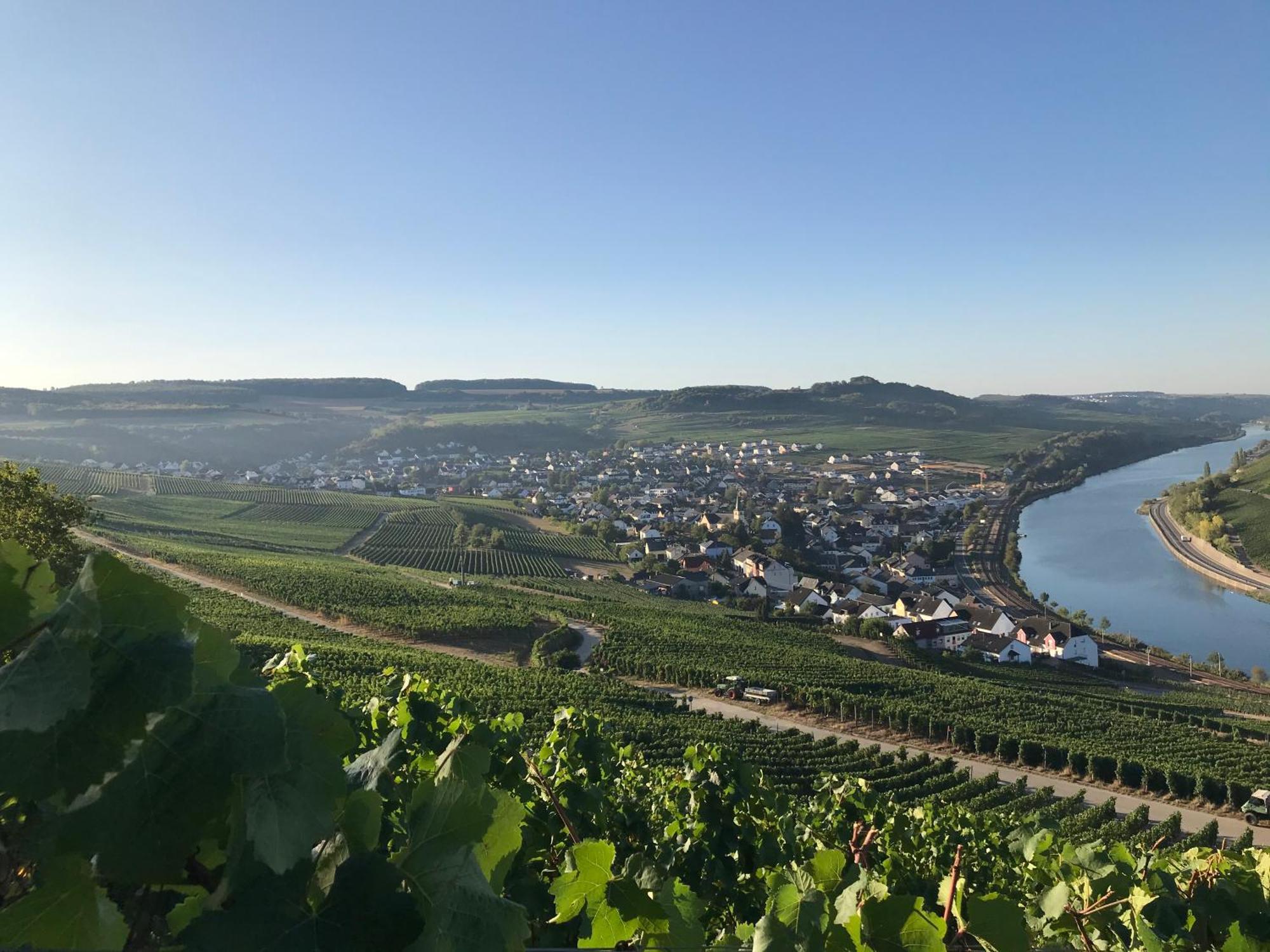 Gastehaus Und Weingut Bernd Frieden Hotel Nittel Eksteriør billede