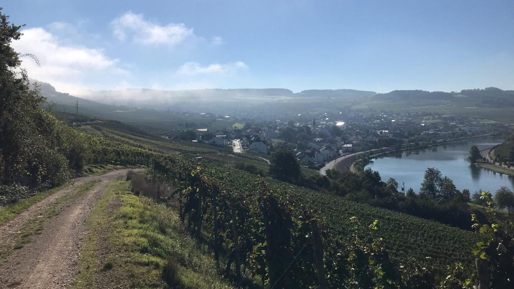 Gastehaus Und Weingut Bernd Frieden Hotel Nittel Eksteriør billede