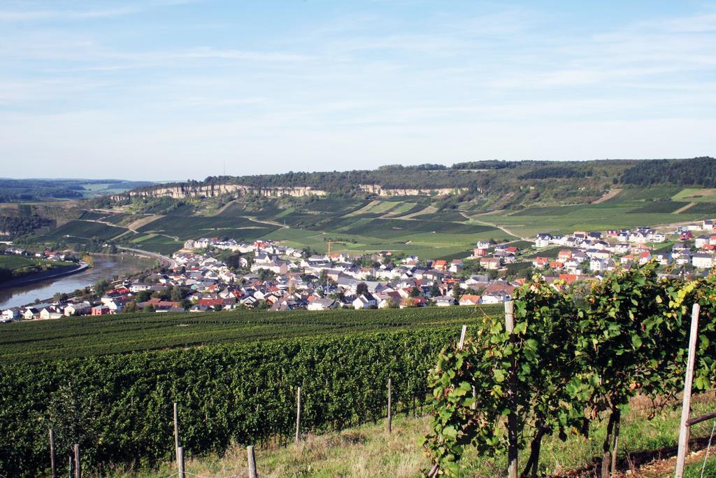 Gaestehaus Und Weingut Bernd Frieden Nittel Eksteriør billede